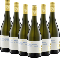 Ein Tag am Meer Sauvignon blanc uscat - Weingut hammel - 6x pachet de degustare