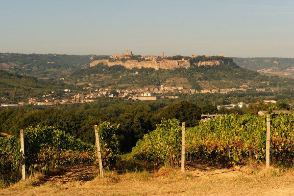 Panorama din Orvieto