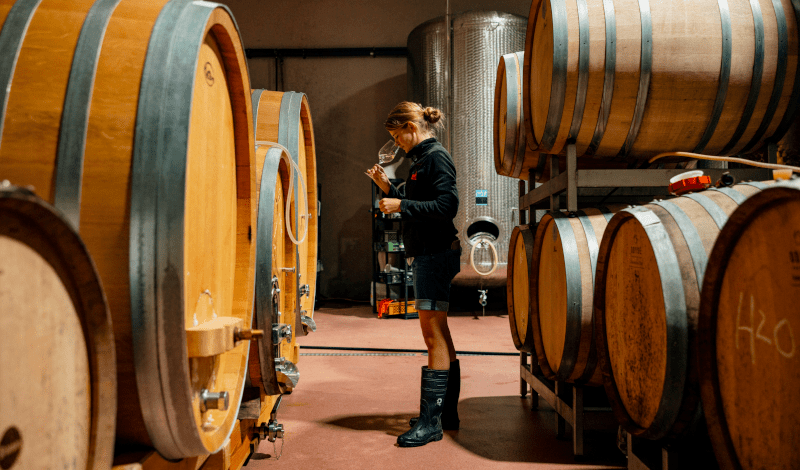 Lisa Bunn în pivnița de vin Lisa Bunn în pivnița de vin