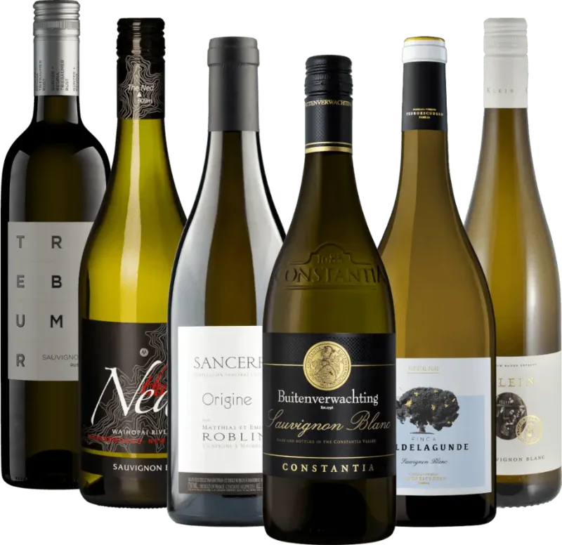 Pachet cu 6 soiuri de vin – Bestselleruri internaționale Sauvignon Blanc