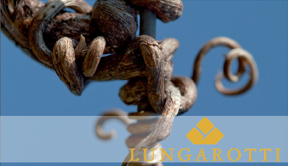 Lungarotti